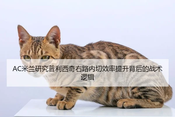 AC米兰研究普利西奇右路内切效率提升背后的战术逻辑